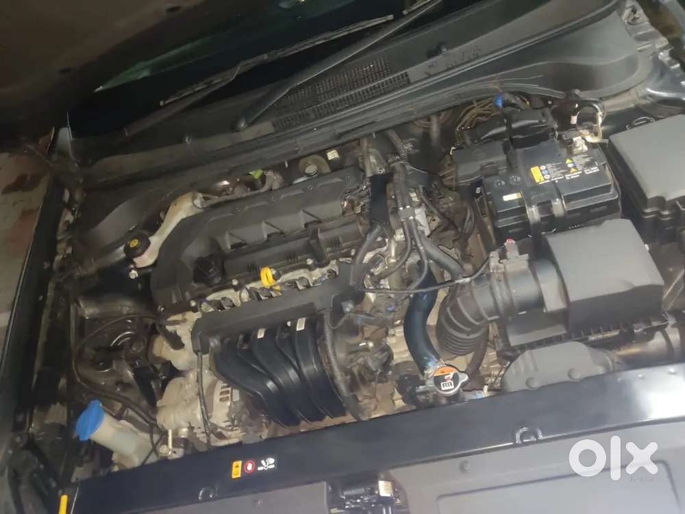 Hyundai New Verna 2024 Petrol 6000 Km Driven