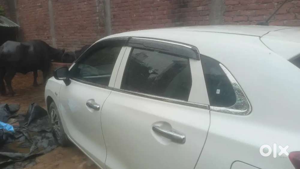 Maruti Suzuki Baleno Sigma 2024