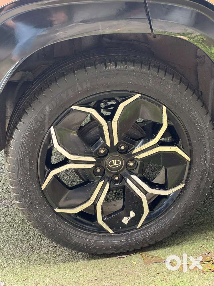 Tata Curvv Accomplished S 1.2 Revotron Petrol 7dca, 2025, Petrol