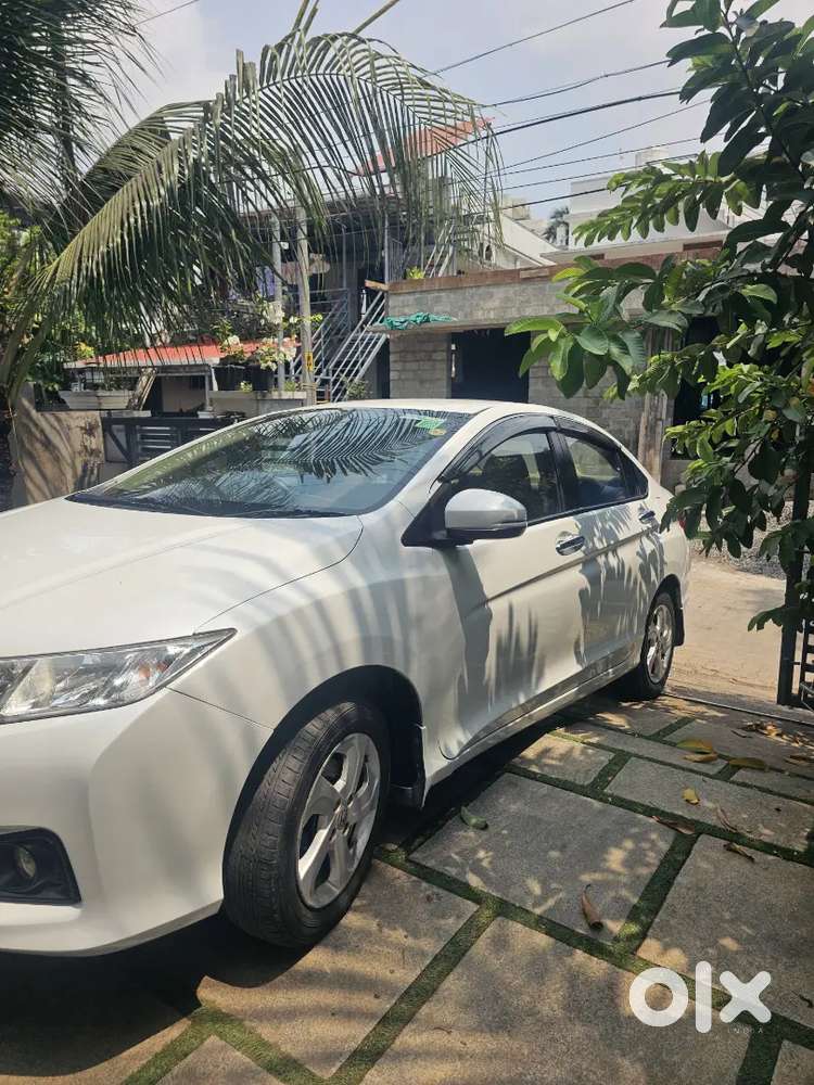 No Accident No Complaint Neet And Clean