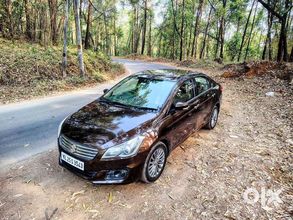 2016 Maruti Ciaz Diesel Zdi Plus Shvs