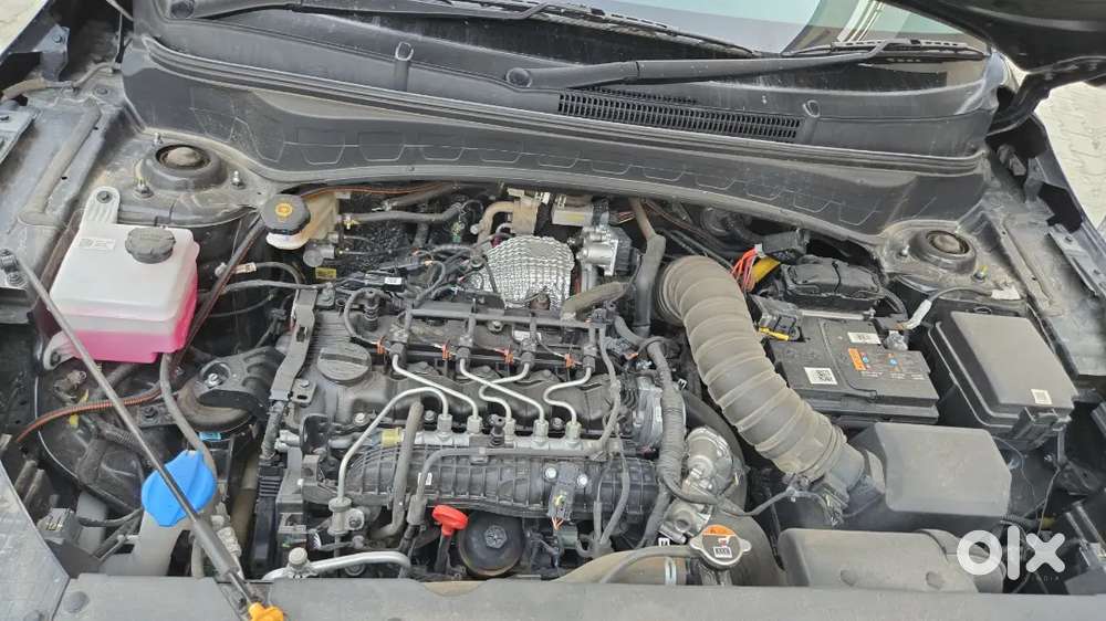 Kia Seltos Hte O Diesel 2025 First Owner Pb