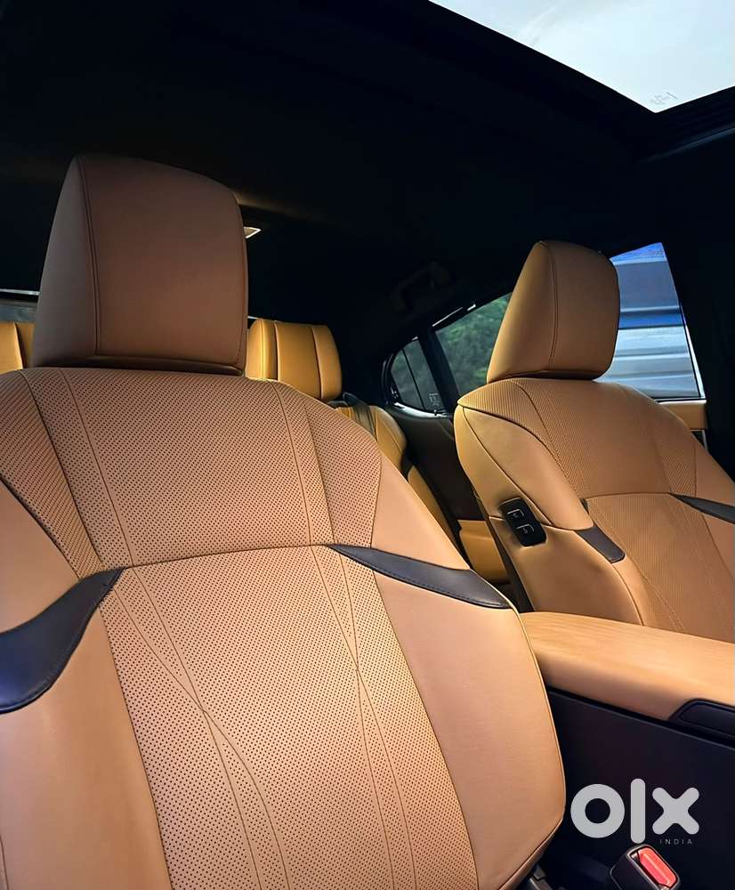 Lexus Es 300h Luxury, 2021, Petrol