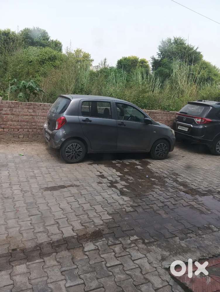 Maruti Suzuki Celerio 2015 Petrol+cng