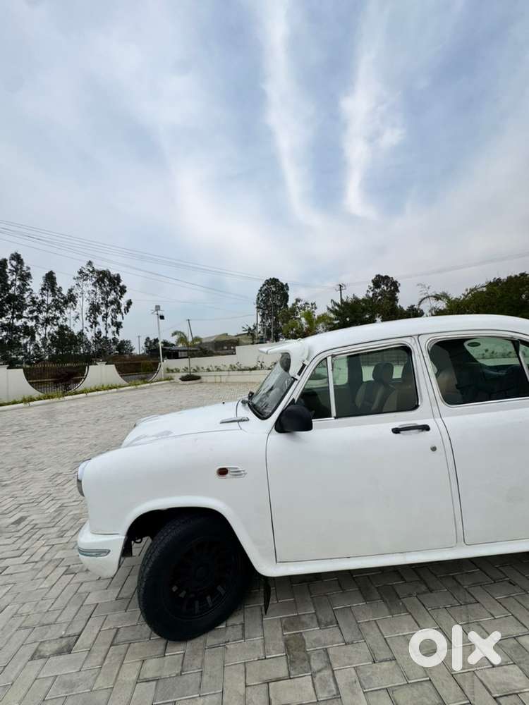 Urgent Sale Ambassdor