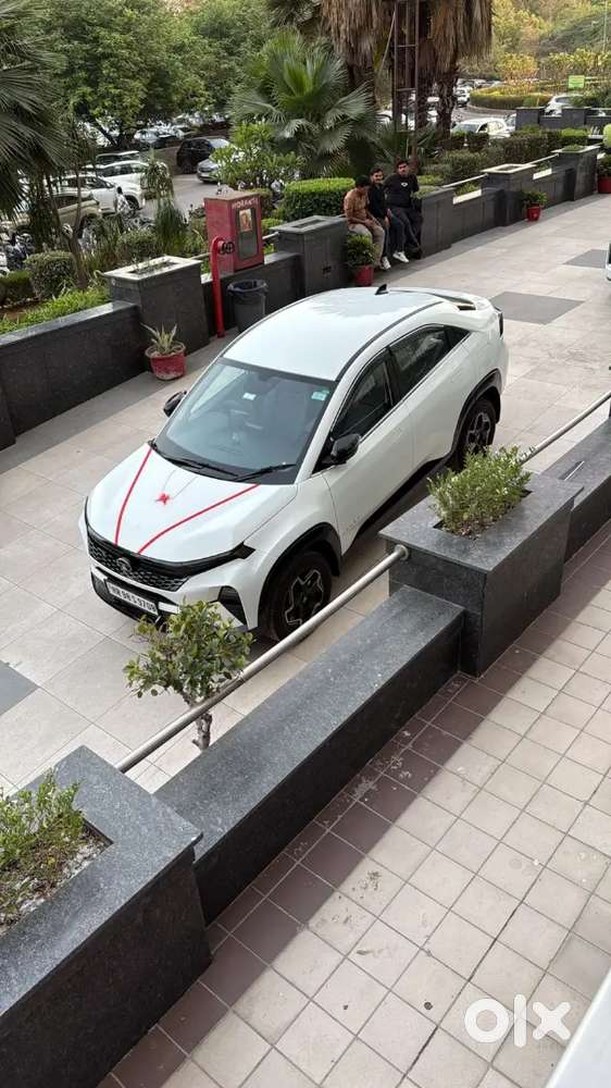 Tata Curvv Plus Petrol 2024