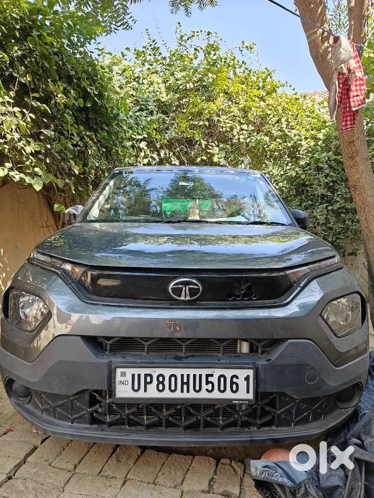 Tata Punch 2025 Petrol 4065 Km Driven