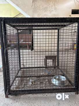 Dog cage quikr best sale