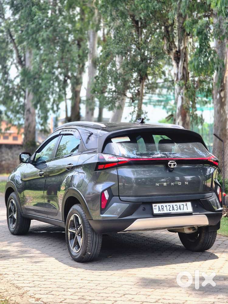 Tata Nexon Fearless Plus S 1.2 Revotron Petrol 6mt Dt, 2024