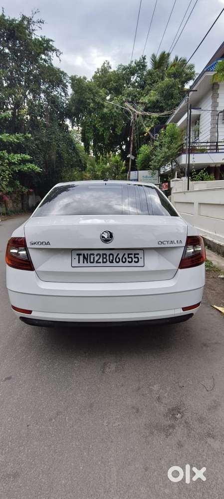 Skoda Octavia Ambition 2.0 Tdi Mt, 2019, Diesel