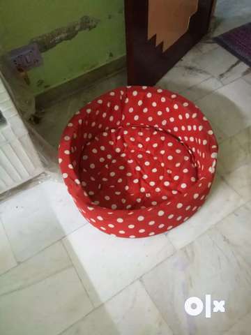 Dog bed outlet olx