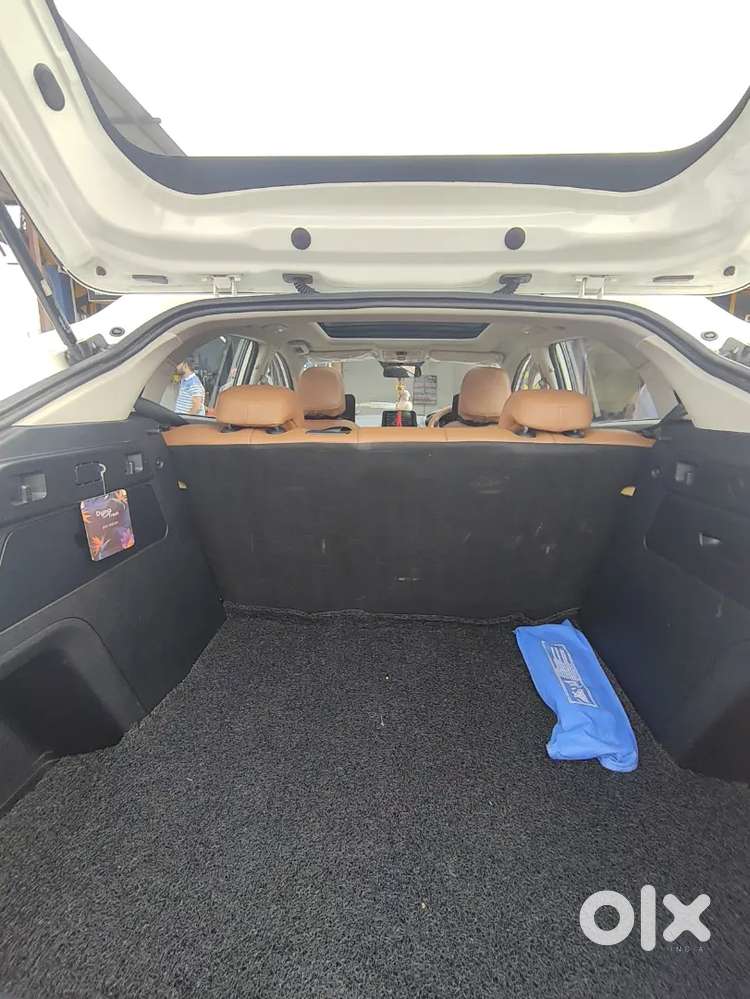 Tata Curvv 2024 Petrol Well Maintained