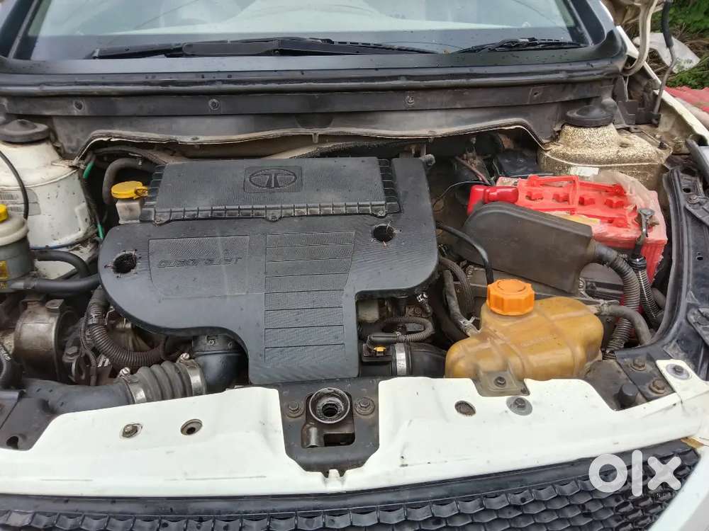 2010 Tata Vista