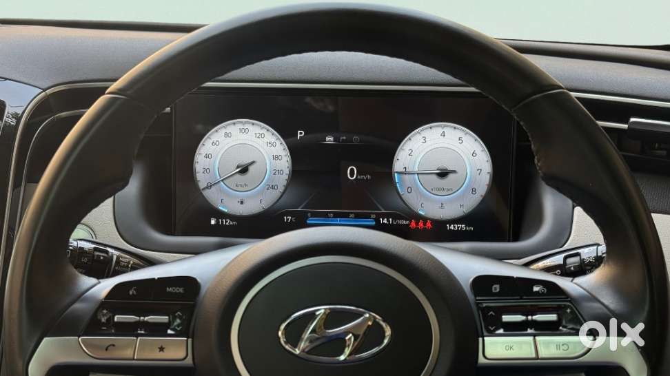 Hyundai Tucson 2.0 Platinum Petrol At, 2024, Petrol