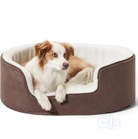 Olx best sale pet dog