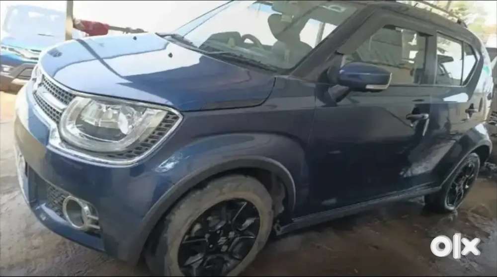 Maruti Ignis For Sale