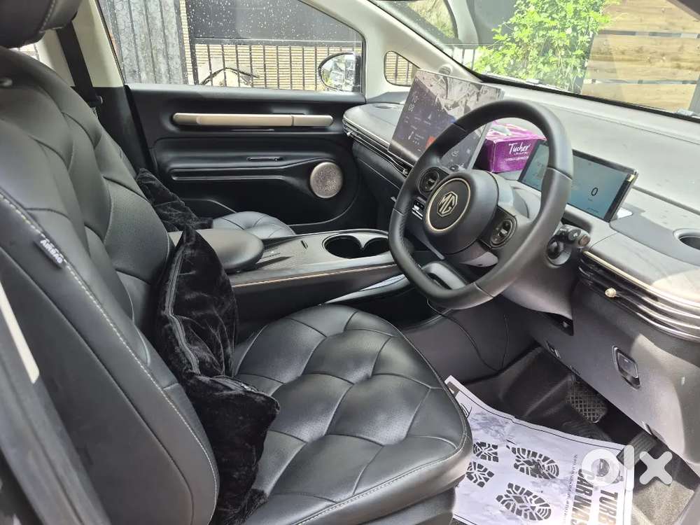 Mg Windsor Ev 2025 Electric Well Maintained