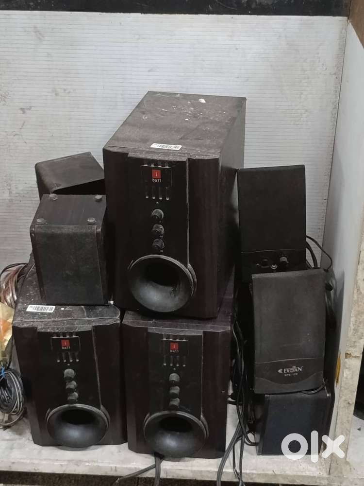 Hot tarang lion Clearance