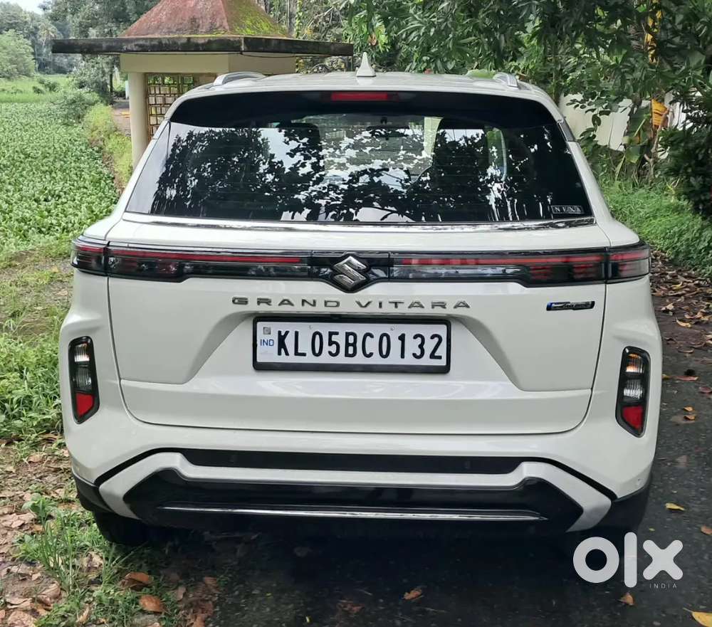 Maruti Suzuki Grand Vitara 2024 Petrol 11100 Km Driven