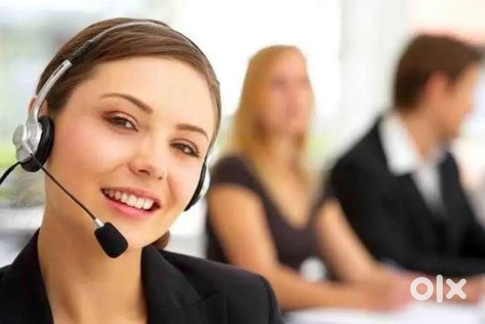 Female telecaller work from home job