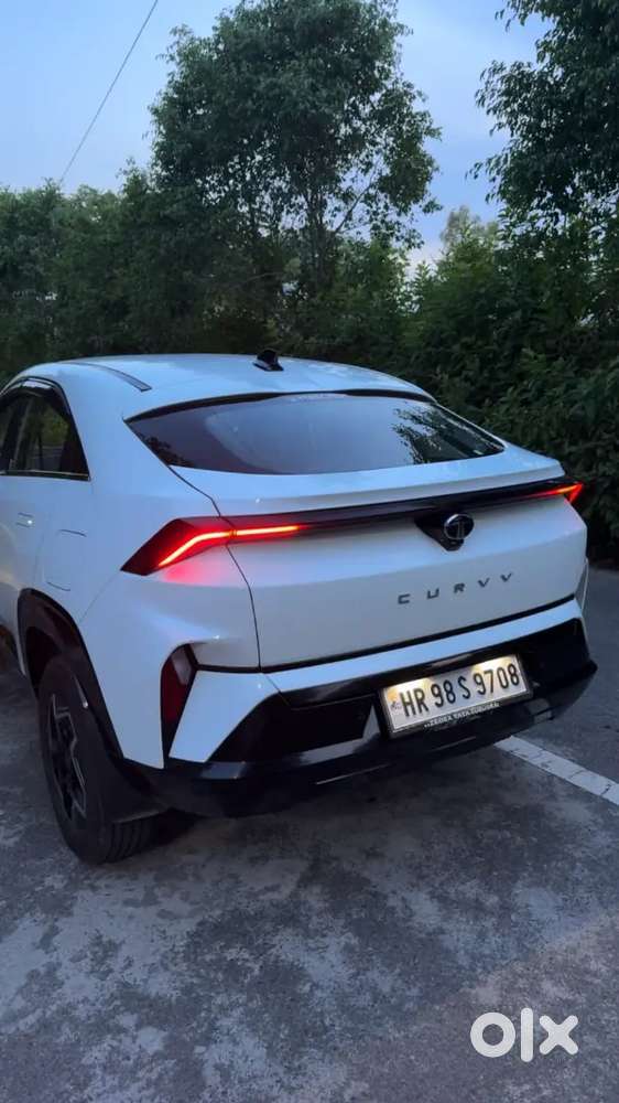 Tata Curvv Plus Petrol 2024