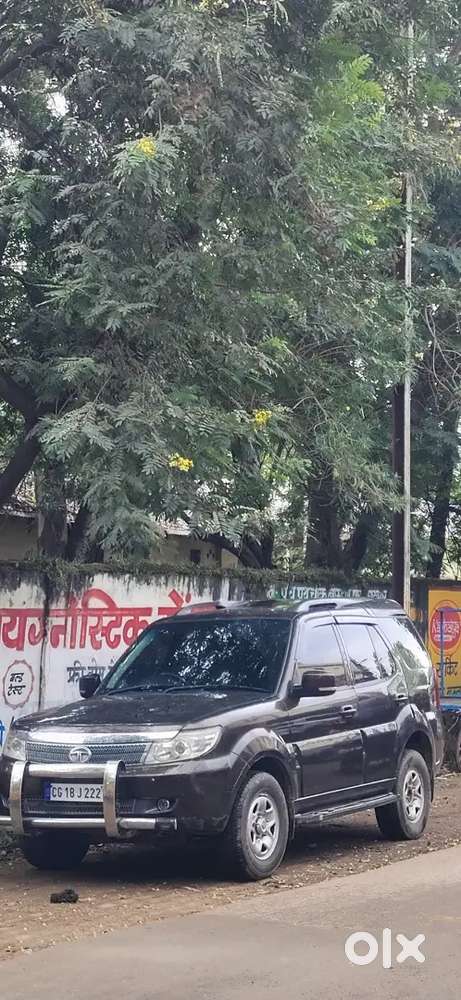 Safari Storme