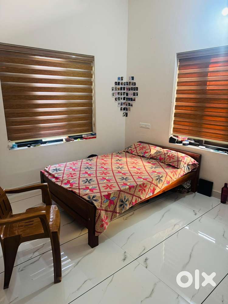 Looking for female flatmates - For Rent: Houses & Apartments - 1828926175
