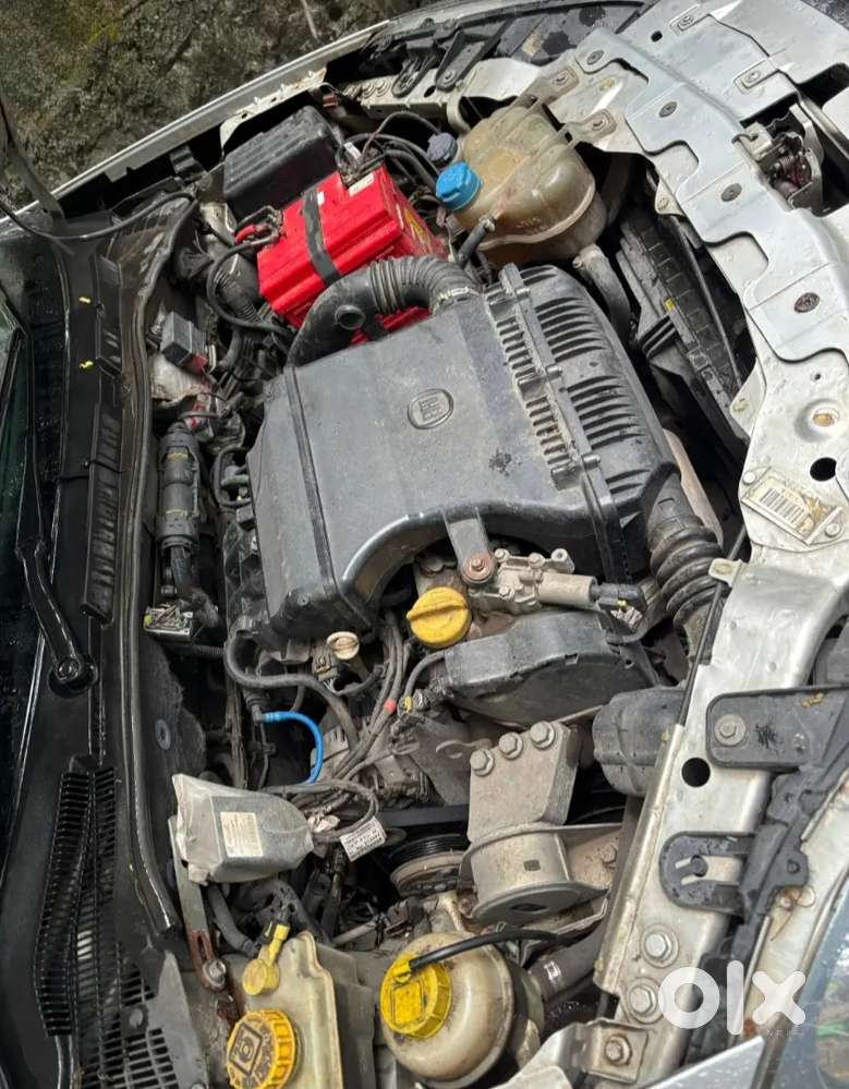 Fiat Linea Emotion 2009 Petrol Cng Manual Repassing 2030 Good Car