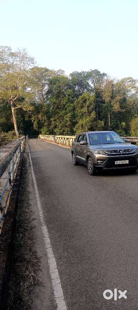 Maruti Suzuki Brezza 2024 Petrol Well Maintained
