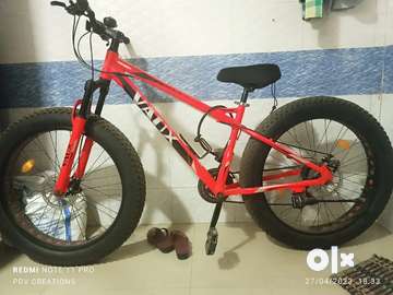 Sky rider fat online bike