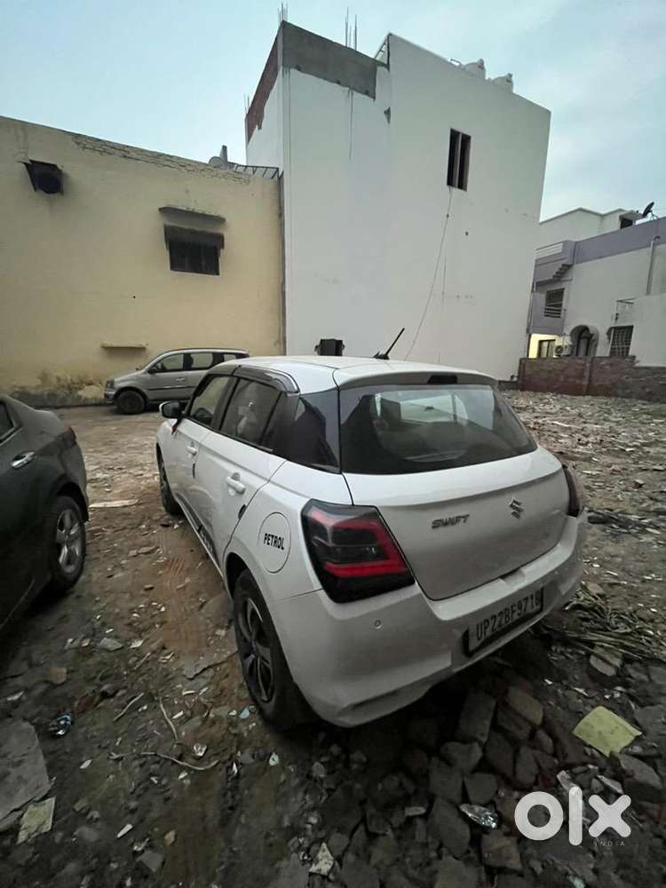 11 Months Old Swift 2025