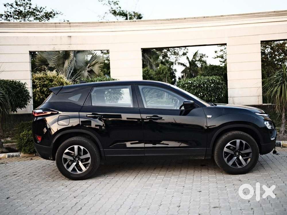 2021 Model