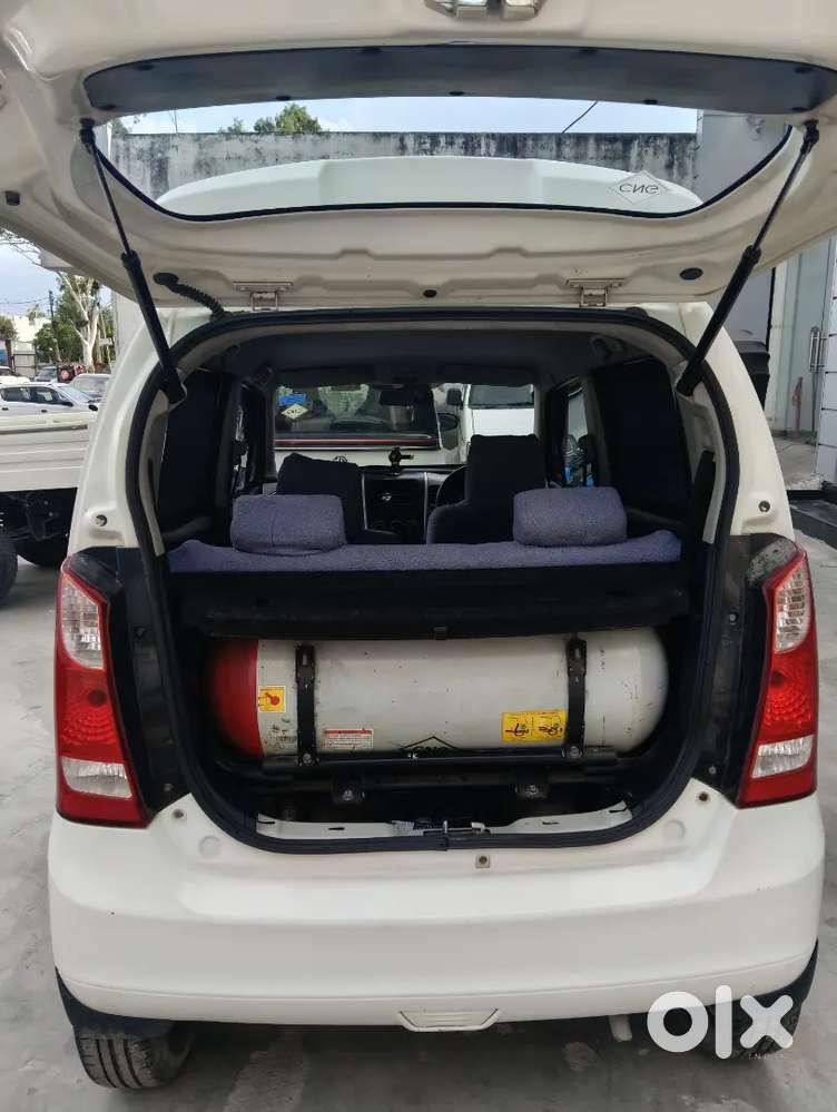 Maruti Suzuki Wagon R 2013 Lxi Cng