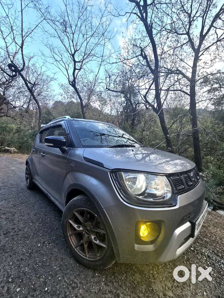 Ignis Maruti Suzuki 2025