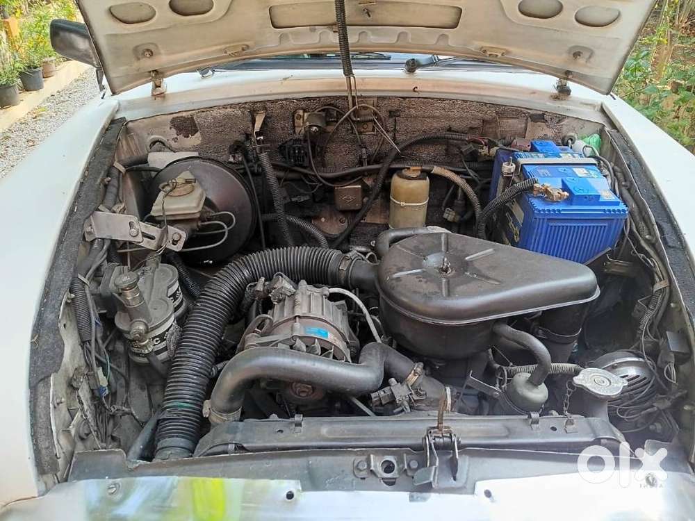 Ambassador Ambassador 2008