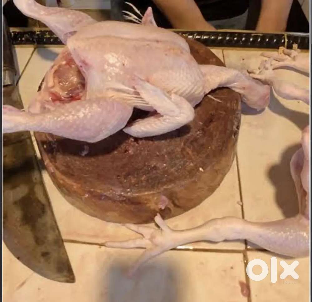 Chicken mutton cutting