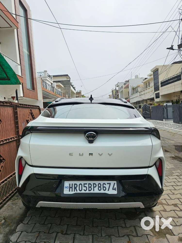 Tata Curvv 2024 Petrol Well Maintained