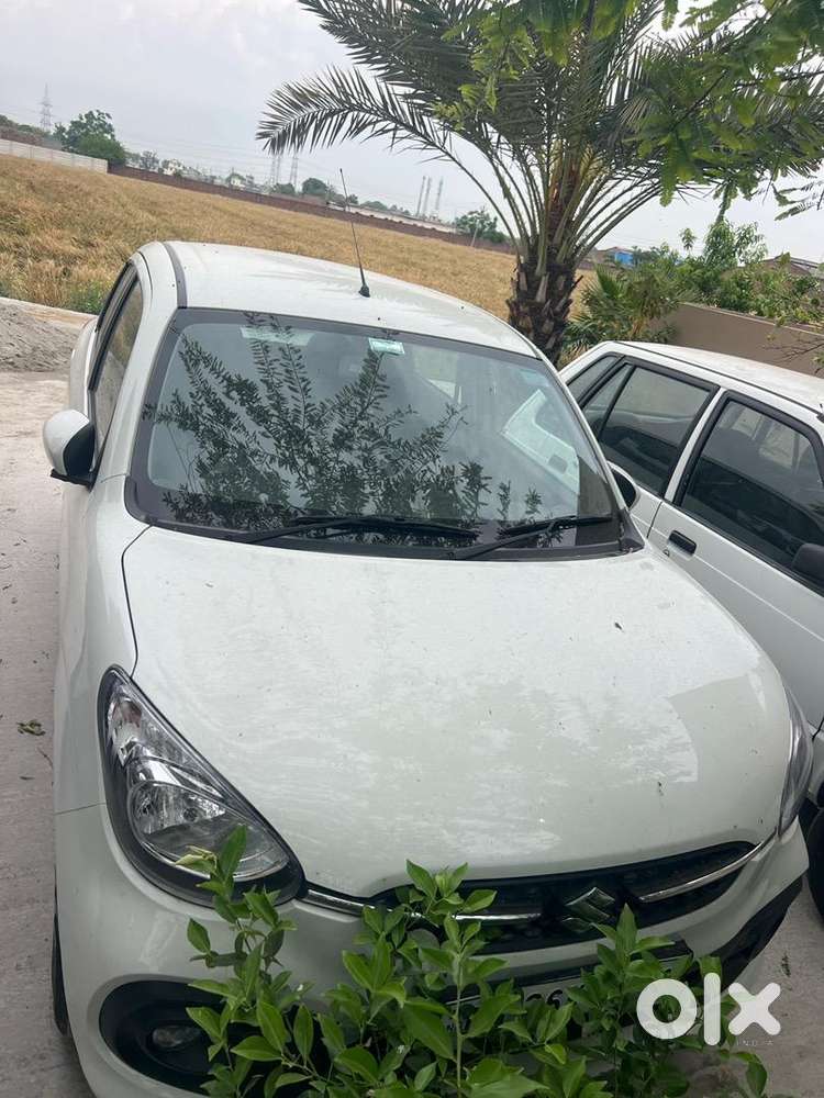 Maruti Suzuki Celerio Petrol 10000 Km Driven