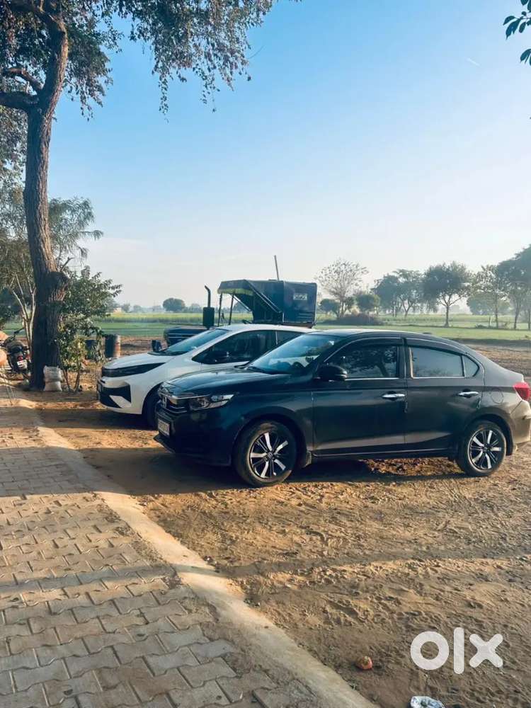Honda Amaze 2024 Petrol 46000 Km Driven