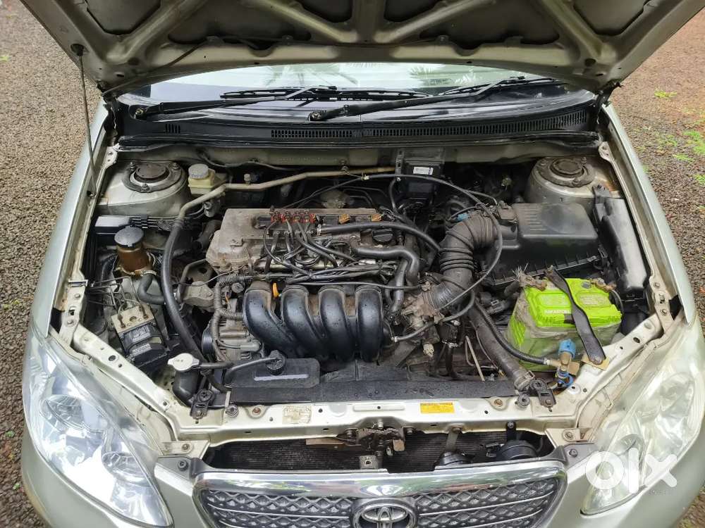 Toyota Corolla 2006 Manual Year