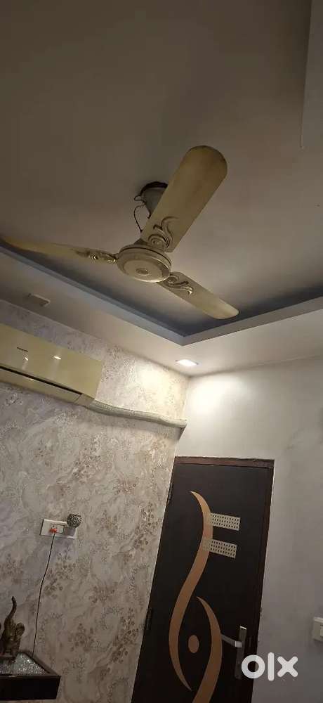 Fancy ceiling fans