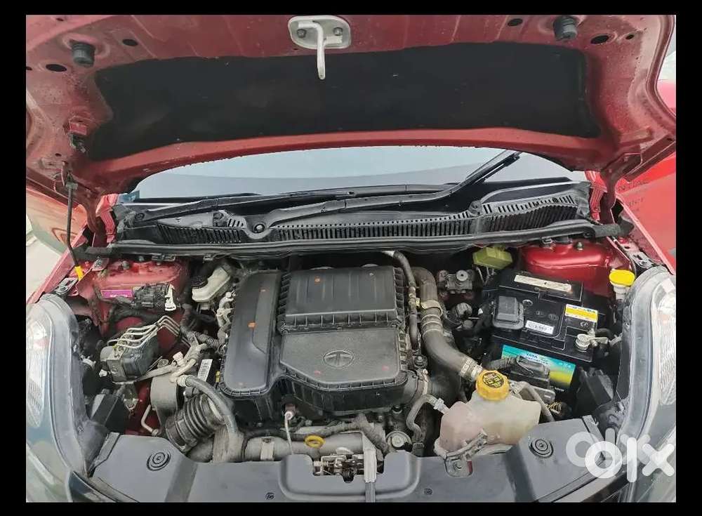 Well Maintained Tata Nexon Showroom Tracking Record