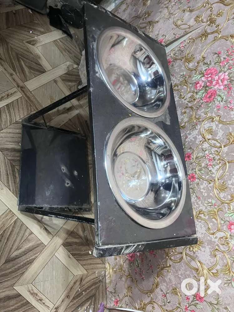 Hair and face steamer