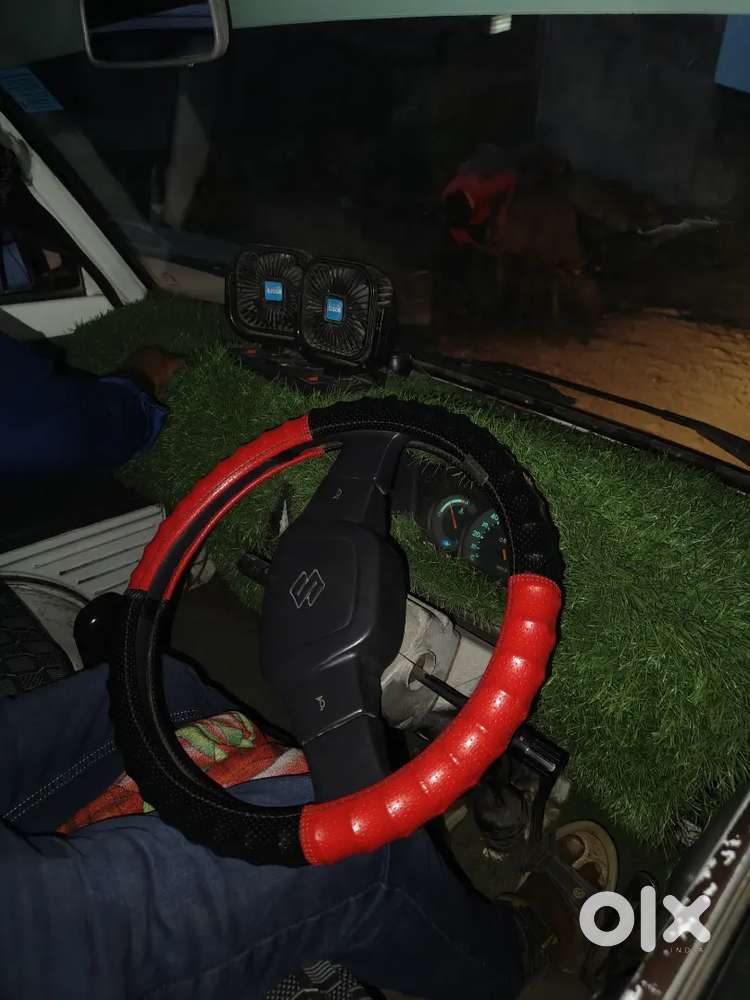 Maruti Suzuki Omni 2011 Lpg 100000 Km Driven Rr 2031 Animal