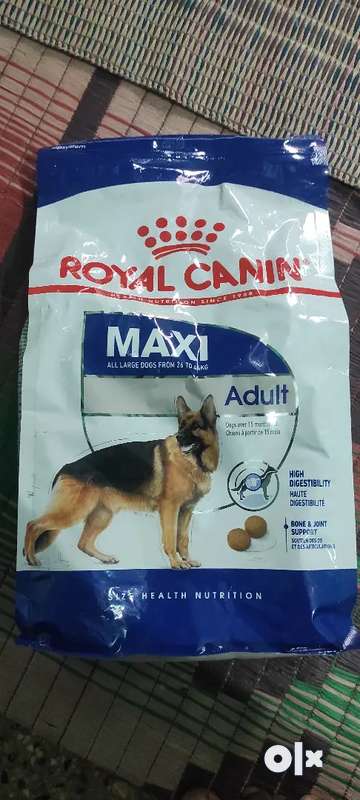 Royal canin olx sales