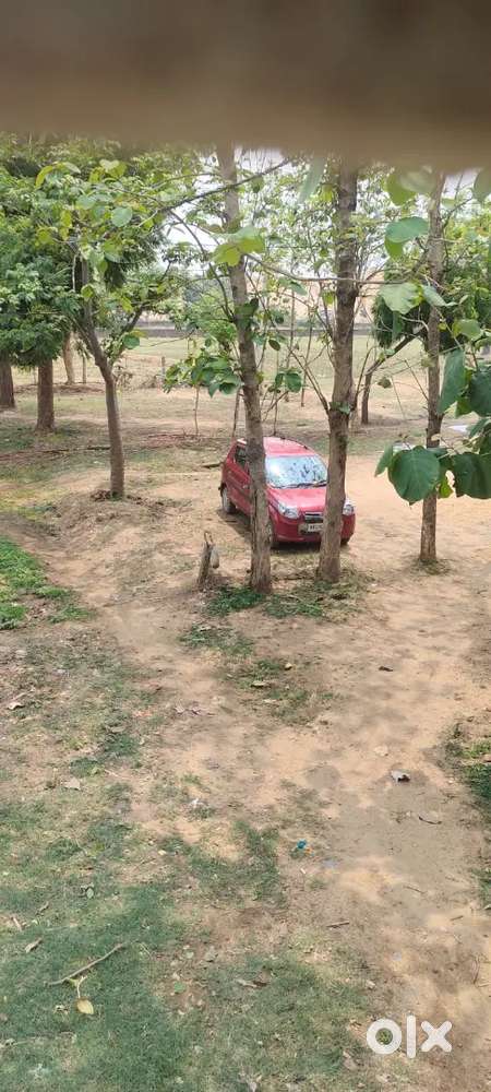 Maruti Suzuki Alto 800 2016 Petrol 54000 Km Driven