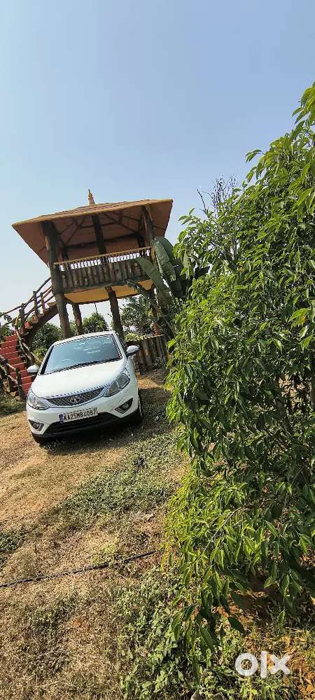 Tata Zest 2016 Petrol 123510 Km Driven