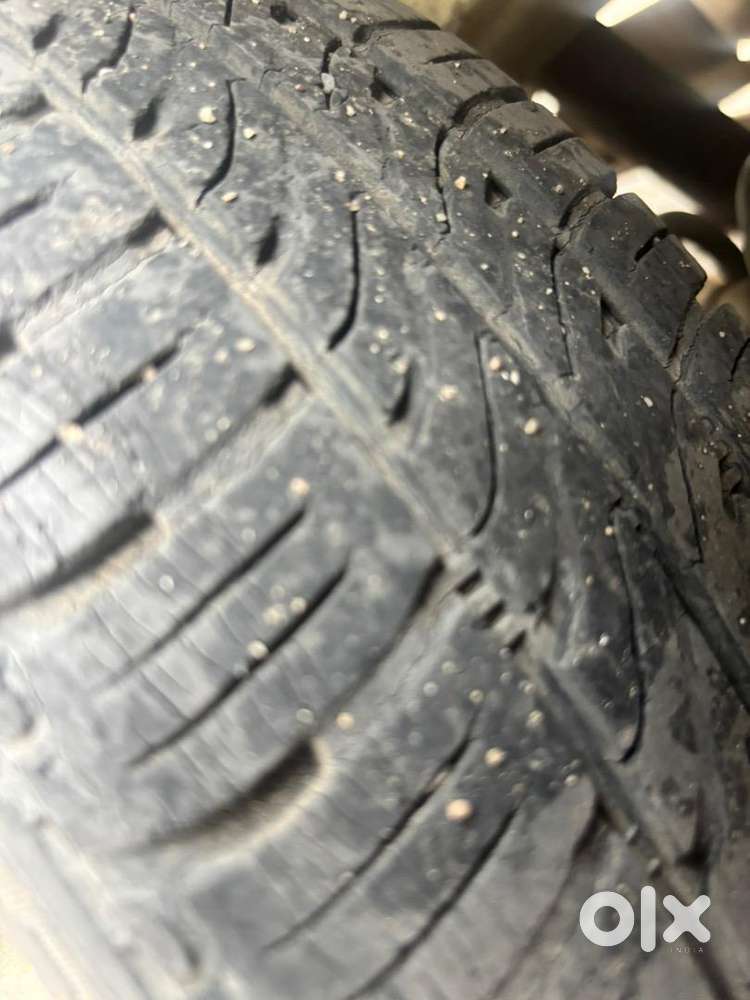 Zen Type 2 With Valvetronic Exhaust