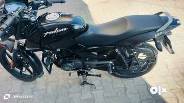 Olx pulsar 125 hotsell