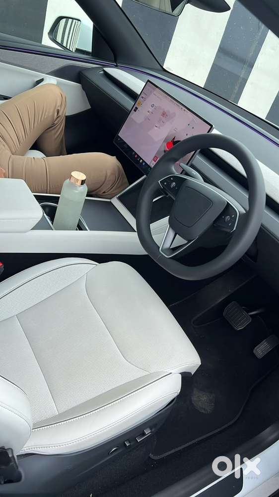 Tesla Model Y 2029 Electric